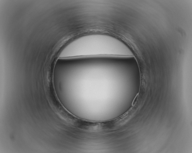 X0000110680116200906121043