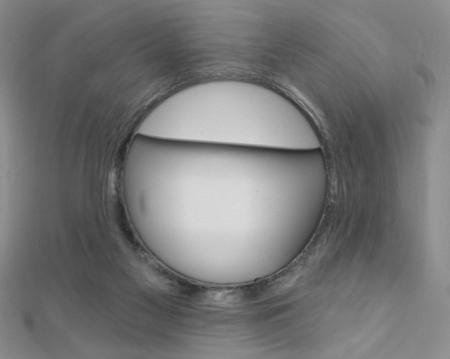X0000110680117200906121043
