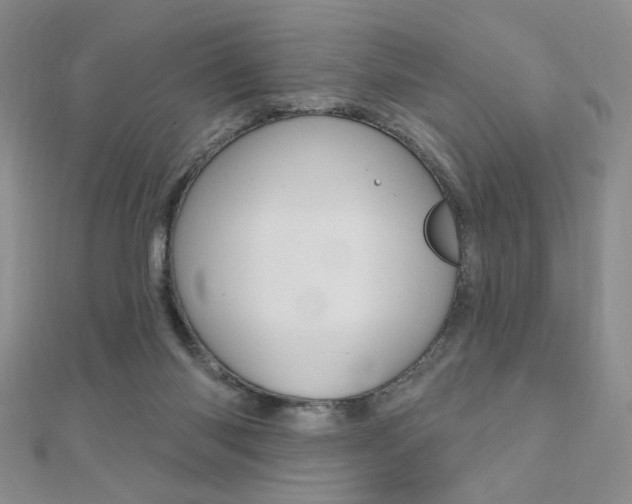 X0000110680118200906121043