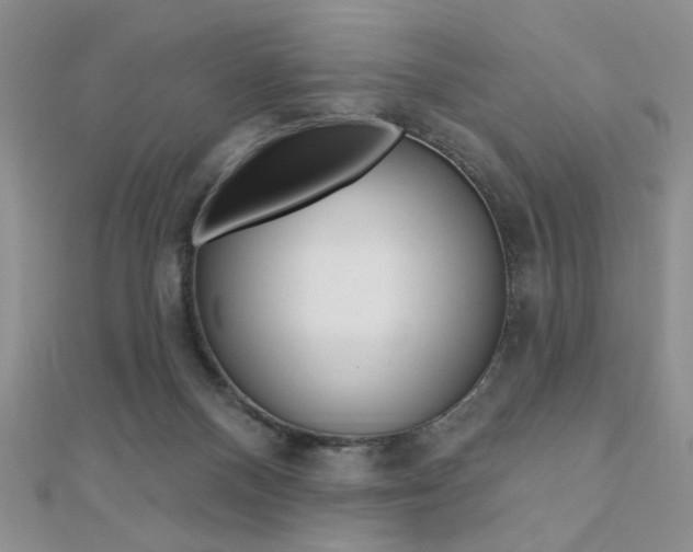 X0000110680120200906121043