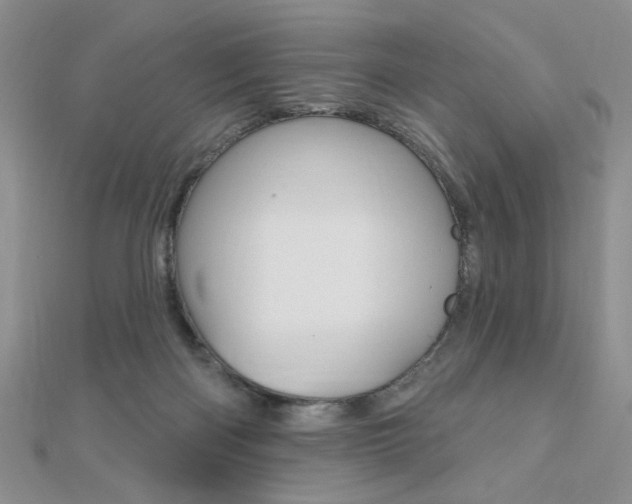 X0000110680122200906121043