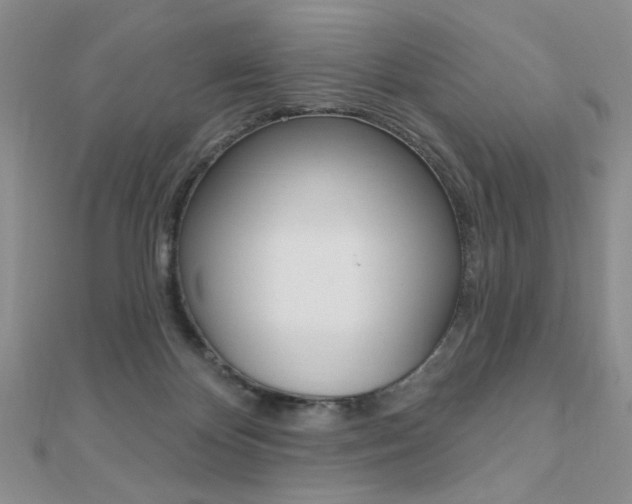 X0000110680124200906121043