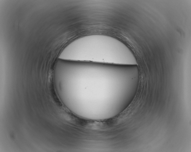 X0000110680125200906121043