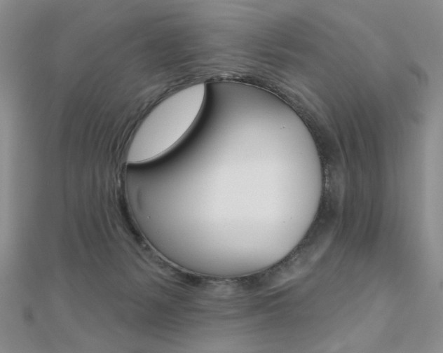 X0000110680127200906121043