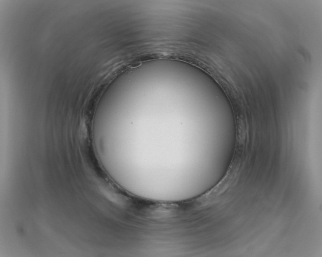 X0000110680128200906121043