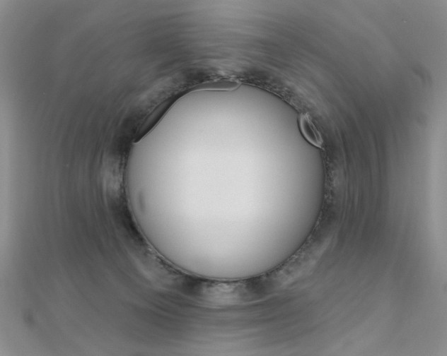 X0000110680129200906121043