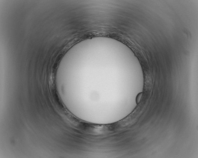 X0000110680130200906121043