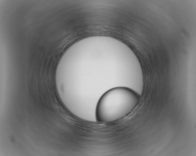 X0000110680132200906121043
