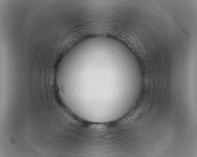 X0000110680133200906121043