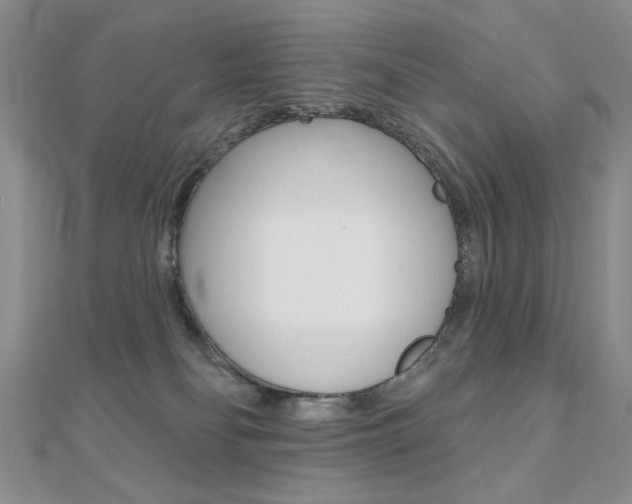 X0000110680134200906121043