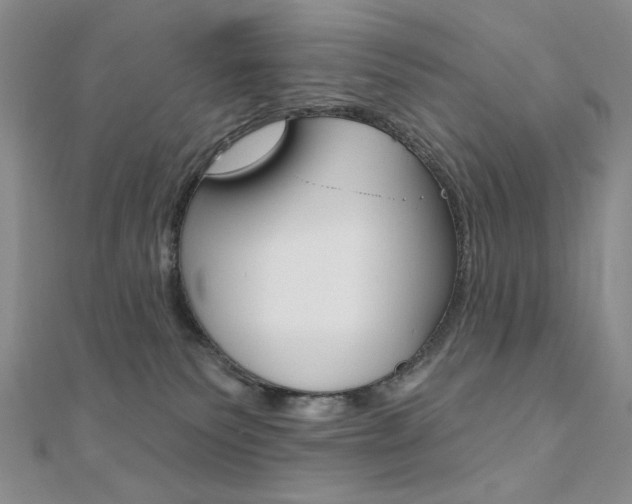 X0000110680135200906121043