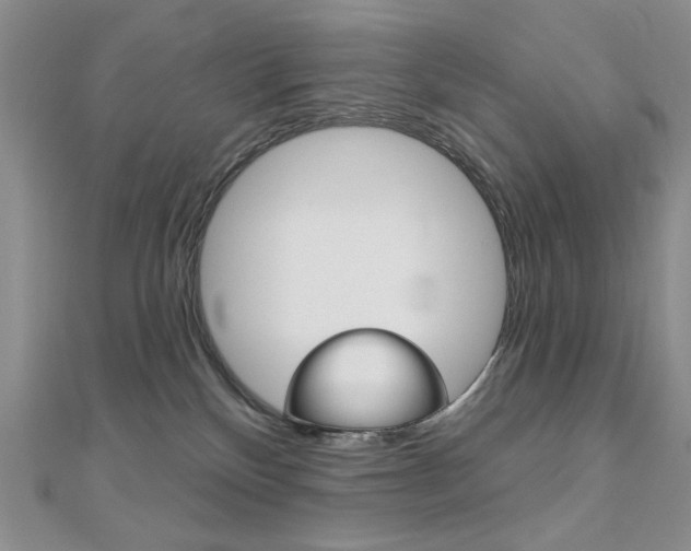 X0000110680136200906121043