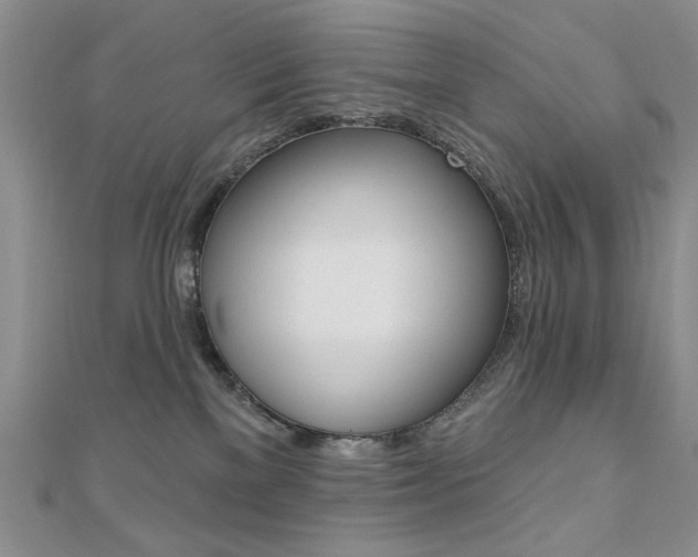 X0000110680137200906121043