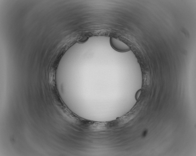 X0000110680138200906121043