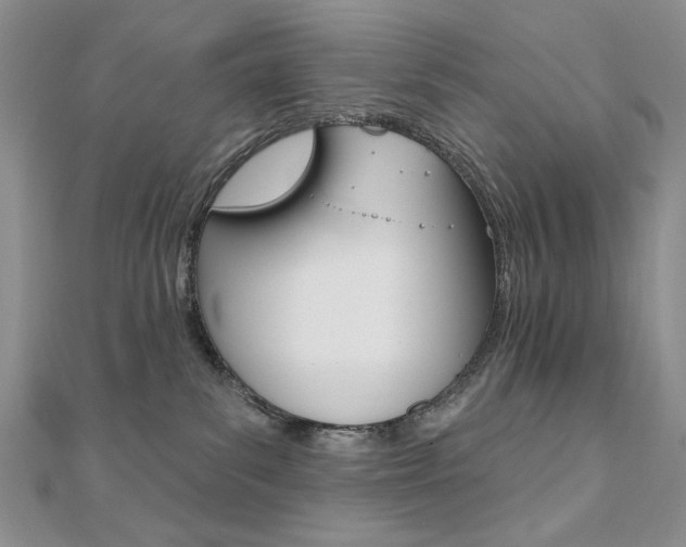 X0000110680139200906121043
