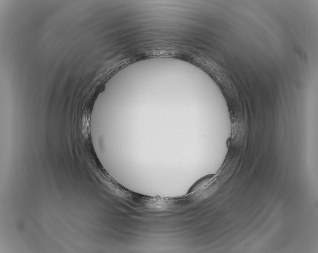 X0000110680142200906121043