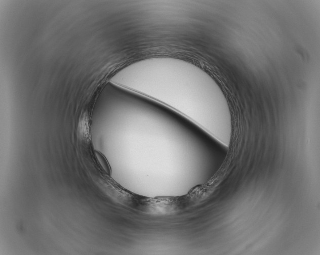 X0000110680143200906121042
