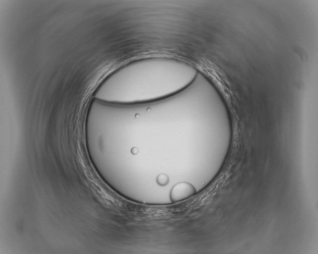 X0000110680145200906121042