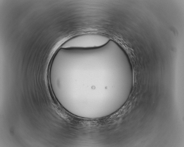 X0000110680147200906121042