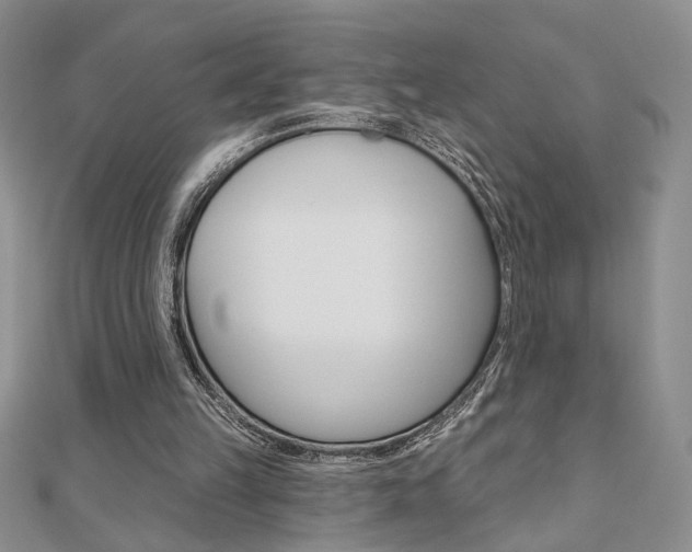 X0000110680149200906121042