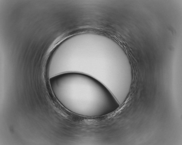 X0000110680150200906121042