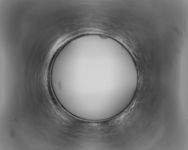 X0000110680151200906121042