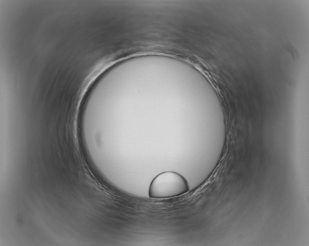 X0000110680152200906121042