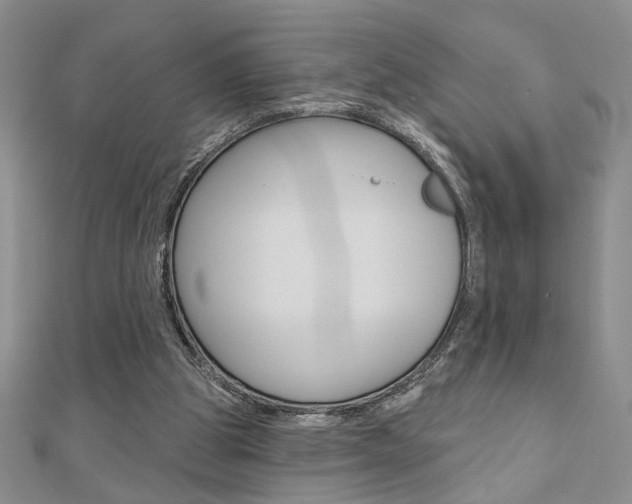 X0000110680153200906121042