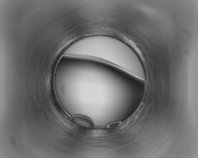X0000110680154200906121042