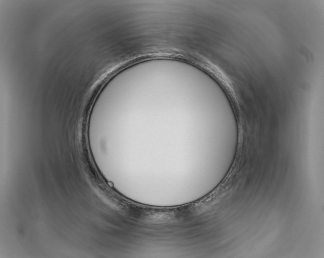 X0000110680155200906121042