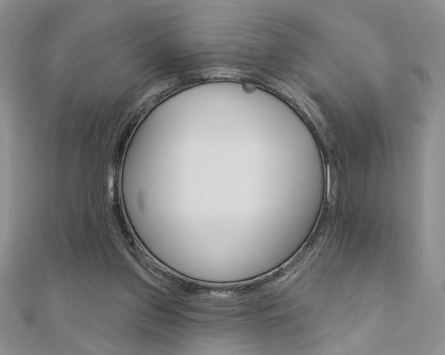 X0000110680157200906121042