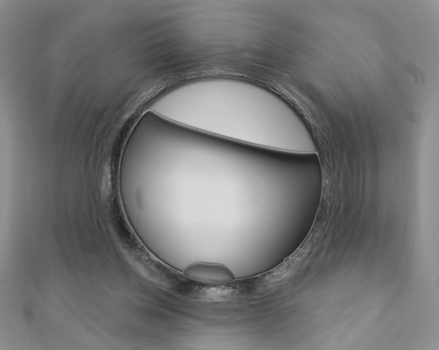 X0000110680158200906121042