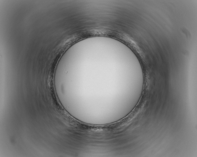 X0000110680161200906121042