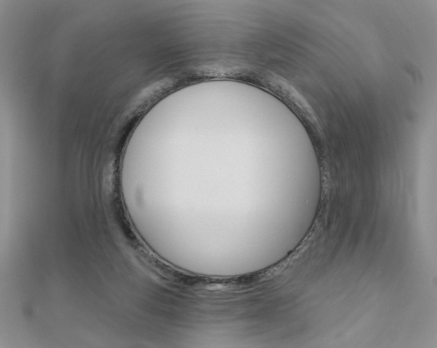 X0000110680163200906121042