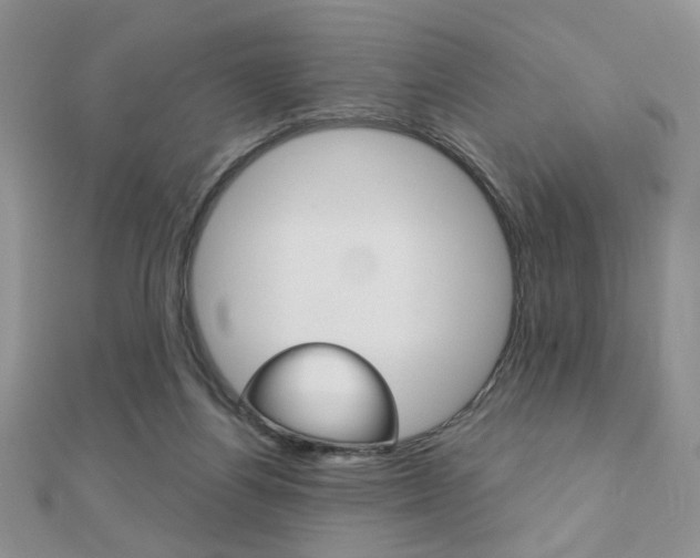 X0000110680164200906121042