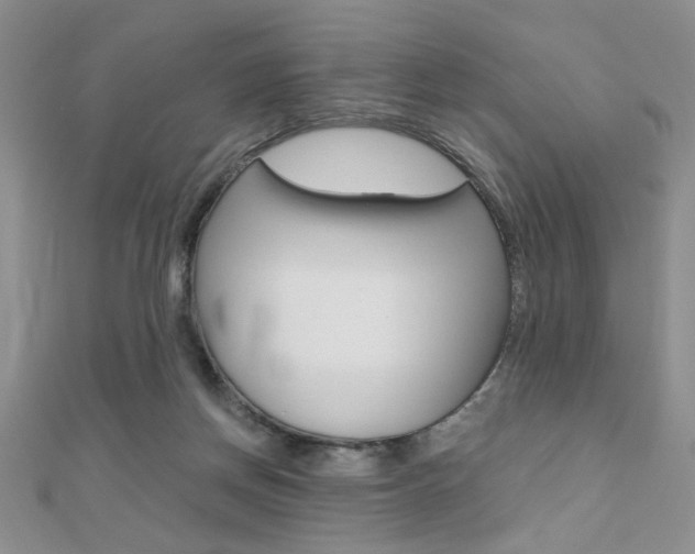 X0000110680166200906121042