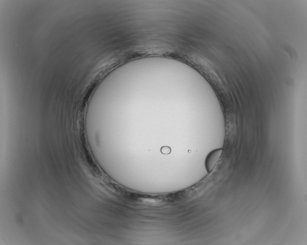 X0000110680167200906121042