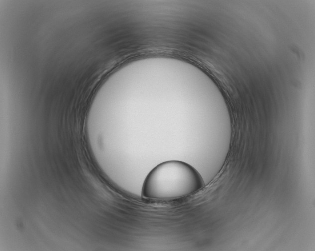 X0000110680168200906121042