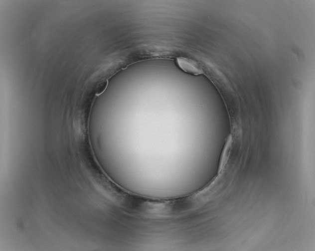 X0000110680170200906121042