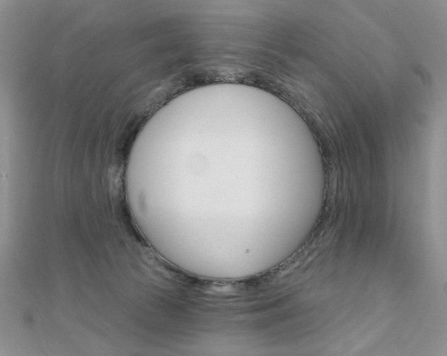 X0000110680177200906121042