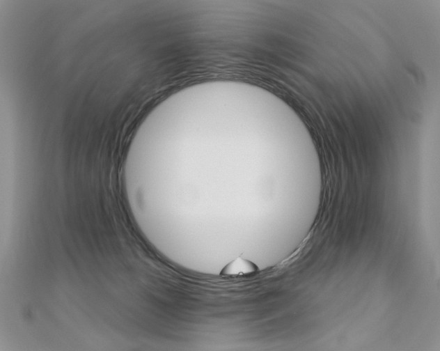 X0000110680180200906121042