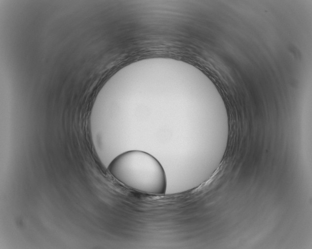 X0000110680184200906121042