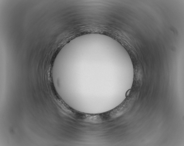 X0000110680185200906121042