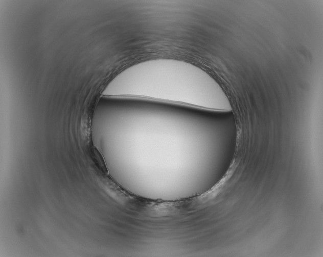 X0000110680186200906121042