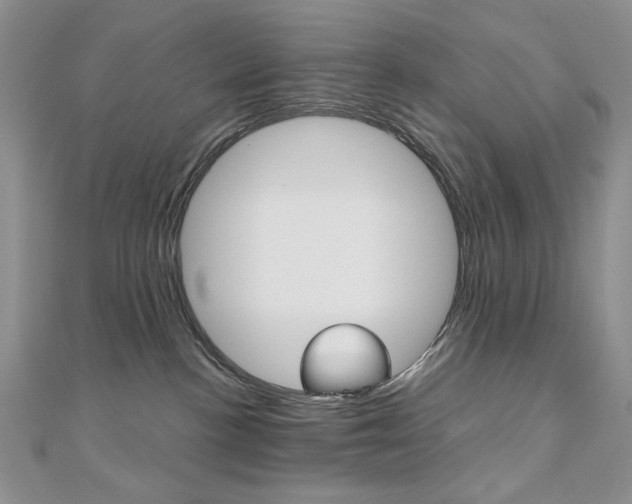 X0000110680188200906121042