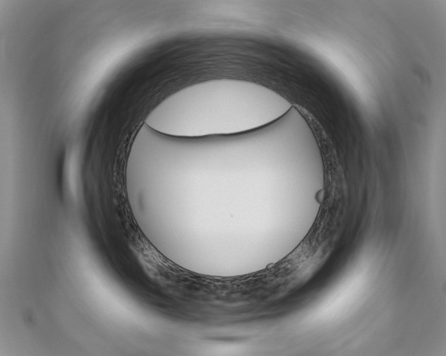 X0000110680189200906121042
