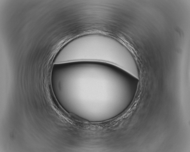 X0000110680193200906121042
