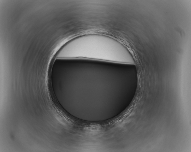 X0000110680196200906121042