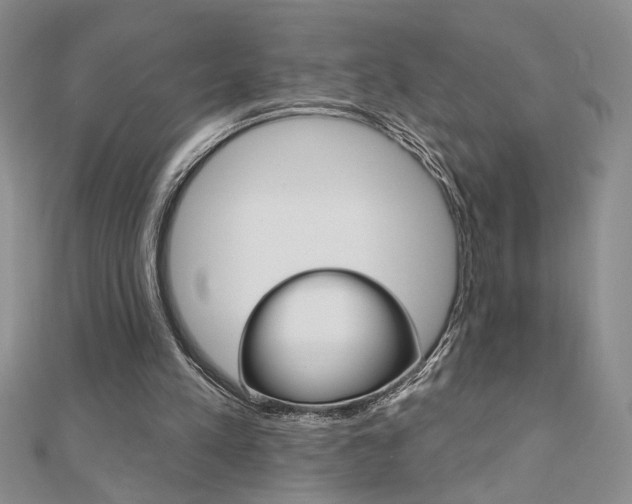 X0000110680197200906121042