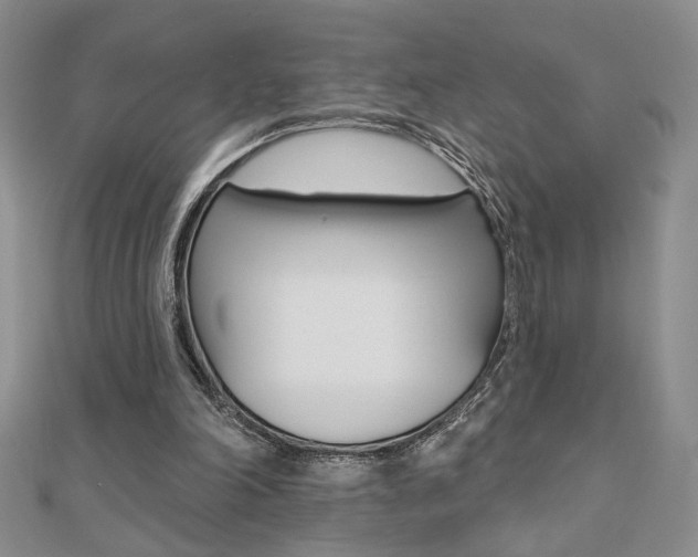 X0000110680198200906121042